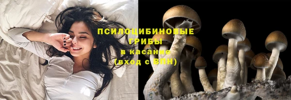 трава Беломорск
