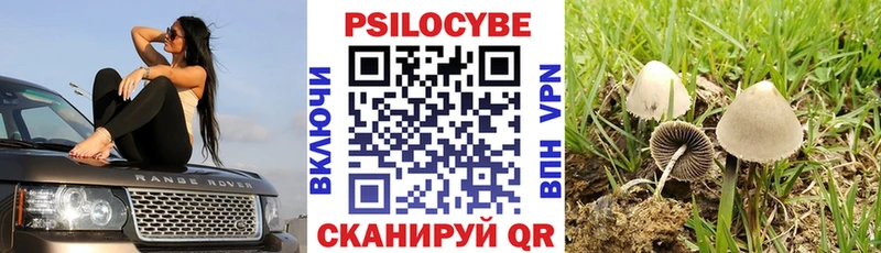 Галлюциногенные грибы GOLDEN TEACHER  Бутурлиновка 