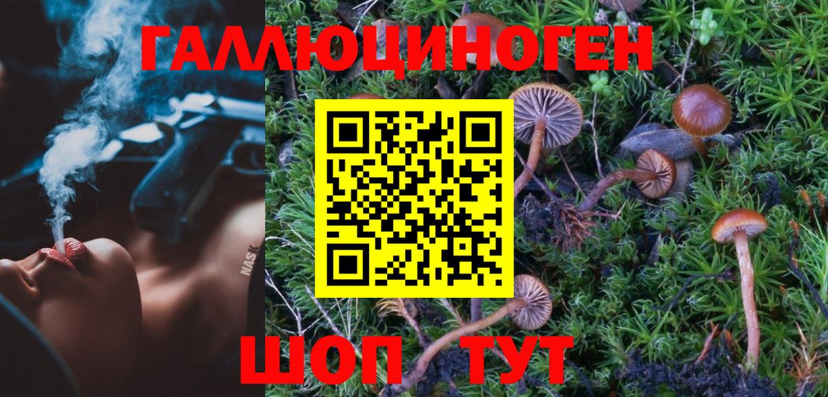 Бутурлиновка  Псилоцибиновые грибы ЛСД  Вход с VPN 
