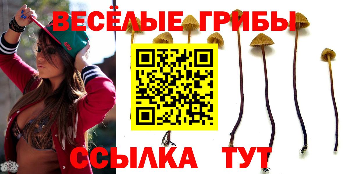 Галлюциногенные грибы ЛСД Бутурлиновка