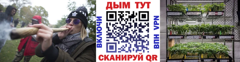 купить  сайты  Бутурлиновка  Конопля гибрид 